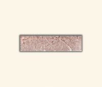 Brick Collection Tortora 20x5cm