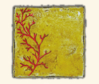 Corallo Rosso su Cristal Ambra 10x10cm