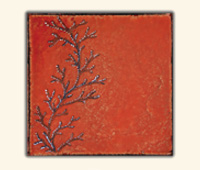 Corallo Fossile su Cristal Rosso 30x30cm