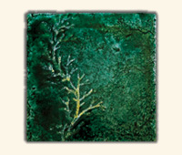 Corallo Ambra su Cristal Verde 20x20cm