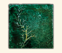 Corallo Ambra su Cristal Verde 10x10cm