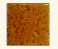 Fondi Collection A027 10x10cm