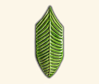 Garden Collection 002 20x7,5cm